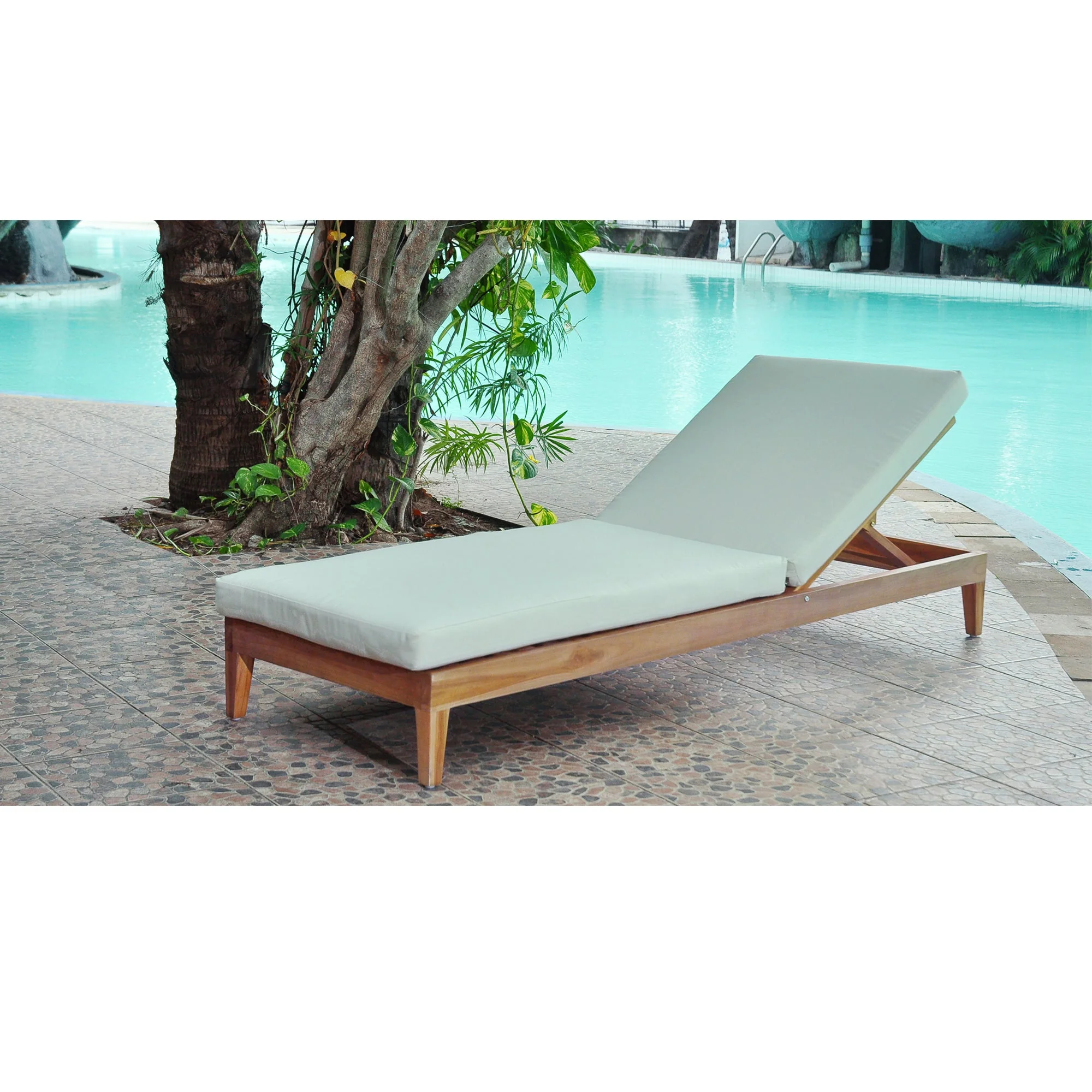 Outdoor Chaise Lounge with Cushion and Adjustable Reclining Backrest